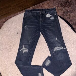 Judy Blue Classic Denim Skinny Jeans